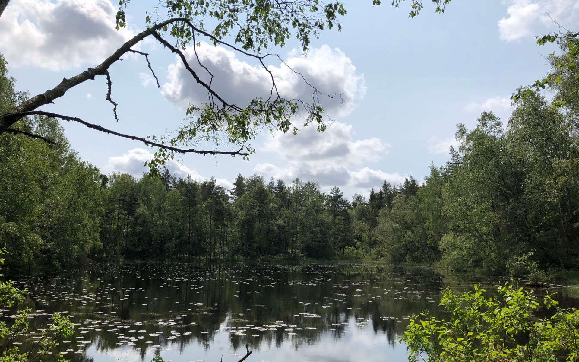 Kåsjön - Jonsered