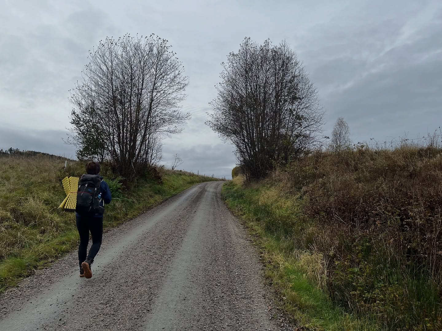 Vi vandrade från Lilla Edet till Aleklätten längs Bohusleden genom Svartedalens naturreservat. 
Hösten är i full gång — en del av trädkronorna skimrade i dovt guld, koppar och rost medans andra var mer eller mindre helt nakna, marken var täckt av blöta löv och luften var sval och klar.
Vi gick i regnet, stannade för kortare justeringar och för att iakta omgivningen och lät skogens färger och dofter omsluta oss. Det var en påminnelse om att även dagar med skurar och fukt kan bli vackra — kanske till och med mer minnesvärda än när solen skiner.
#feedyouradventure
#Naturkompaniet #InspirationalOutdoors
#OneHourToOutdoors #MicroAdventure #NärÄventyr #VardagsÄventyr #kungälv #svartedalen #bohusleden