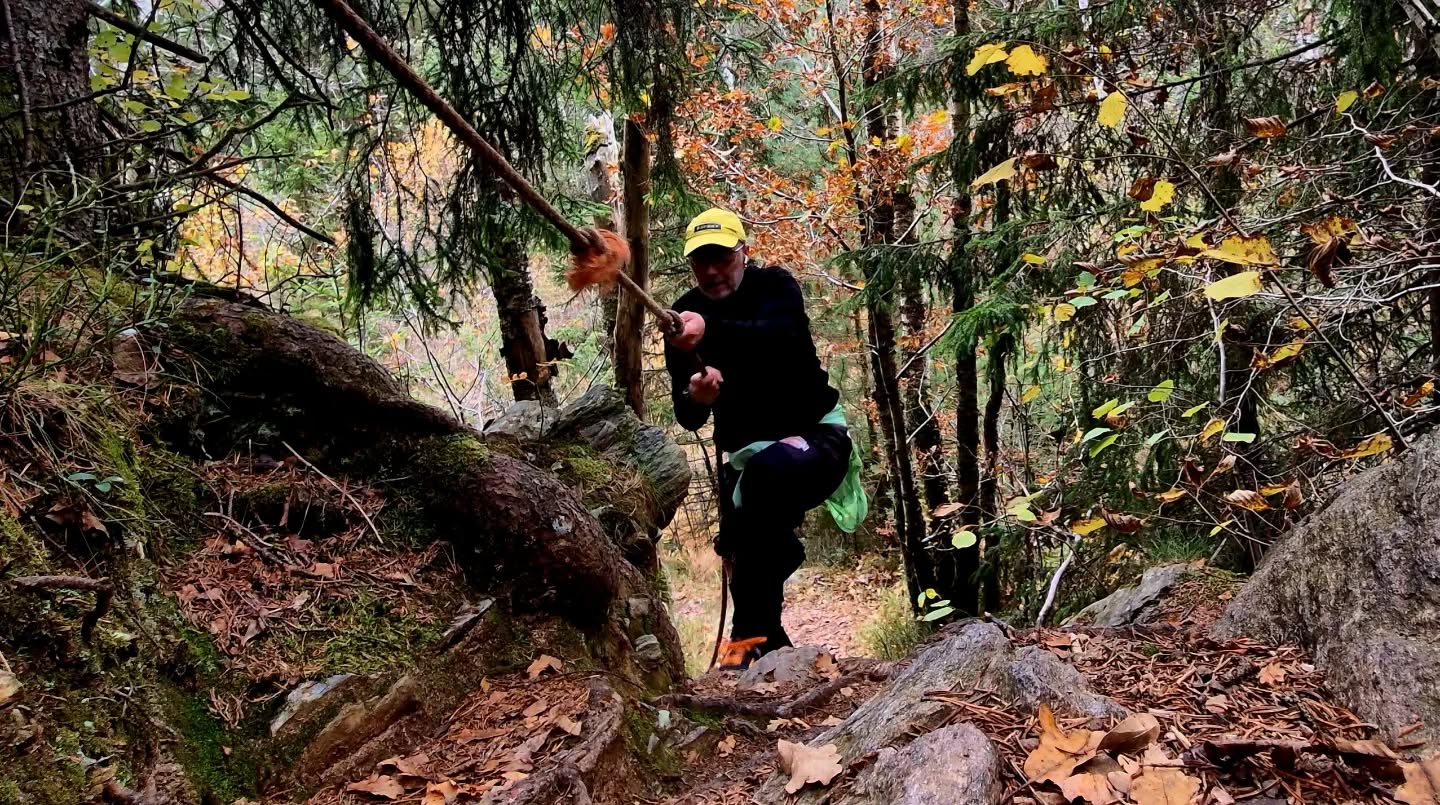 Whatever it takes Vad som helst för att sig fram... nästan i alla fall
Runstreaken fortsätter och fortsätter för jag sprang minst 1.6 km innan jag började klättra
#runforfun #älskalöpning #dailyrun #trailrunning #traillöpning #trailløber #löpning #neverstoprunning #neverstopexploring #running #runners #streakrunner #streakrunning #runhappy #happyrunners #löparglädje #bohusleden #juoksu #laufen #terrengløp #løbeglæde #løpeglede #løpingergøy #herrestadsfjället #runningeveryday #runstreak #konditionsträning # #rundaily #altrarunningfans