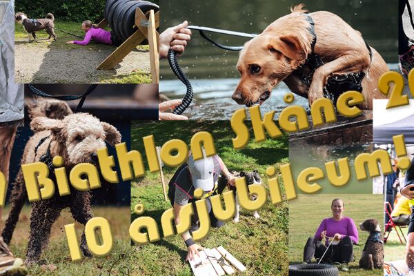 K9 Biathlon 10-årsjubileum 2026!