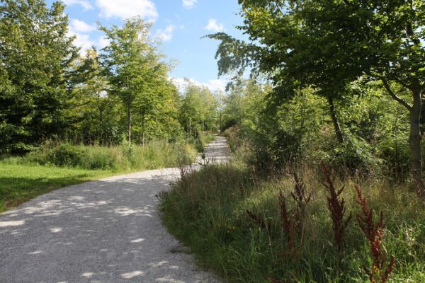 Trevlig promenad i gott sällskap!