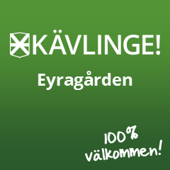 Föreläsning om terapi och assistans/ledar hundar