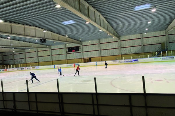 Allmänhetens åkning