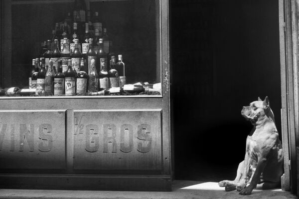 Vernissage: Natt och dag – Christer Strömholm