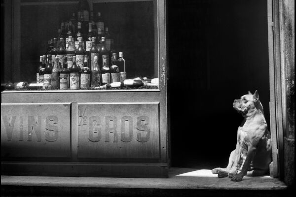 Utställning: Natt och dag – Christer Strömholm