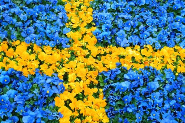 Nationaldagsfirande, Bjärnums Museum