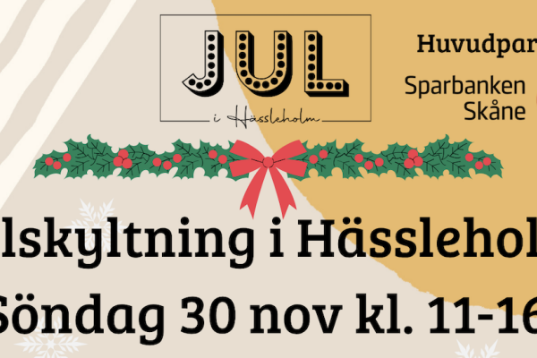 Julskyltning  Hässleholm
