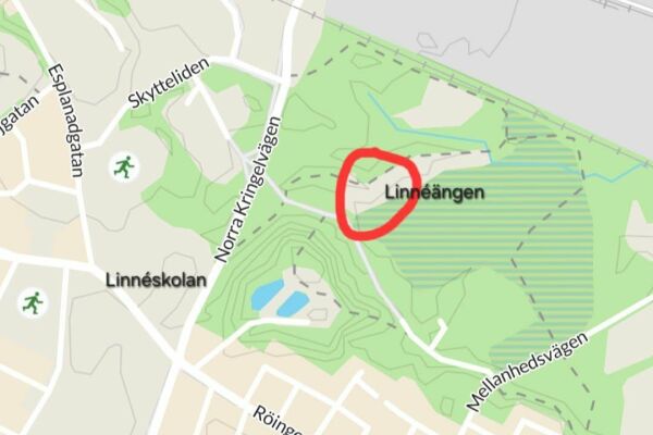 Picknick i Linnéängen