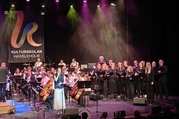 Hessle Symphony Rock Orchestra Student 2026