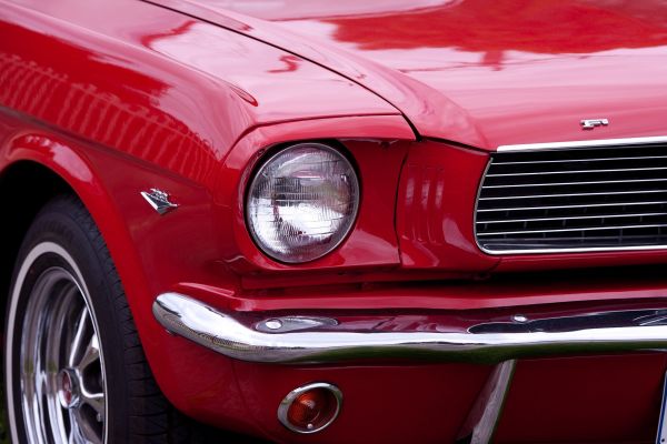 Mustangklubben
