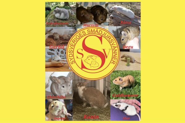 En dag i smådjurens tecken!