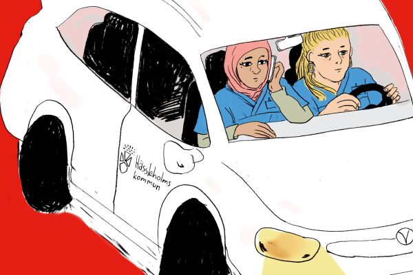 Vernissage: Serieutställningen "Skåne – En dröm!" på Hässleholms stadsbibliotek