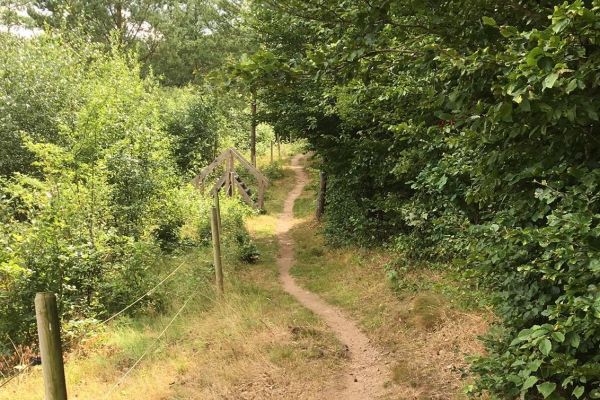 Hässleholmsloppet - Hässleholms AIS Traillopp