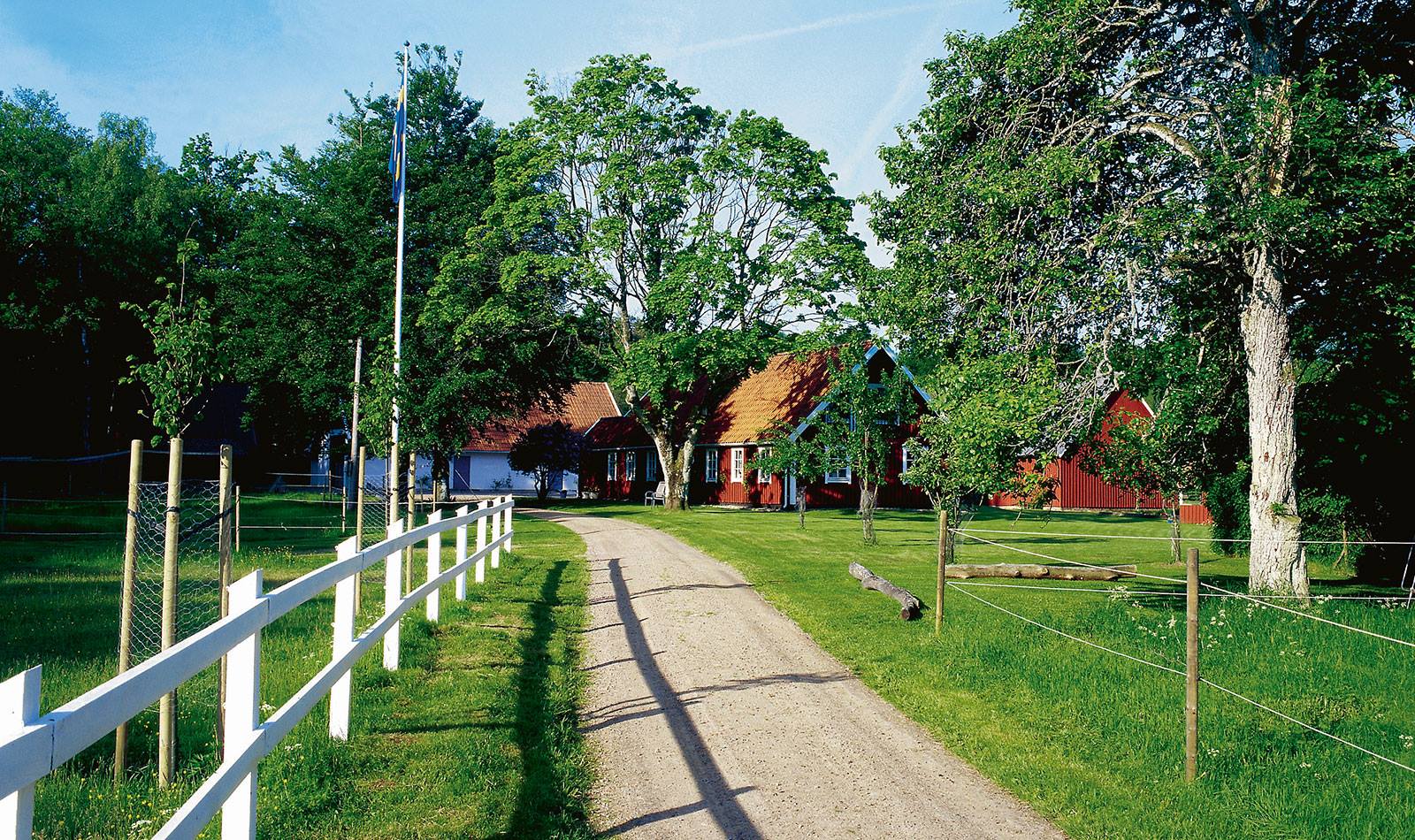Söderåsens Forsgård