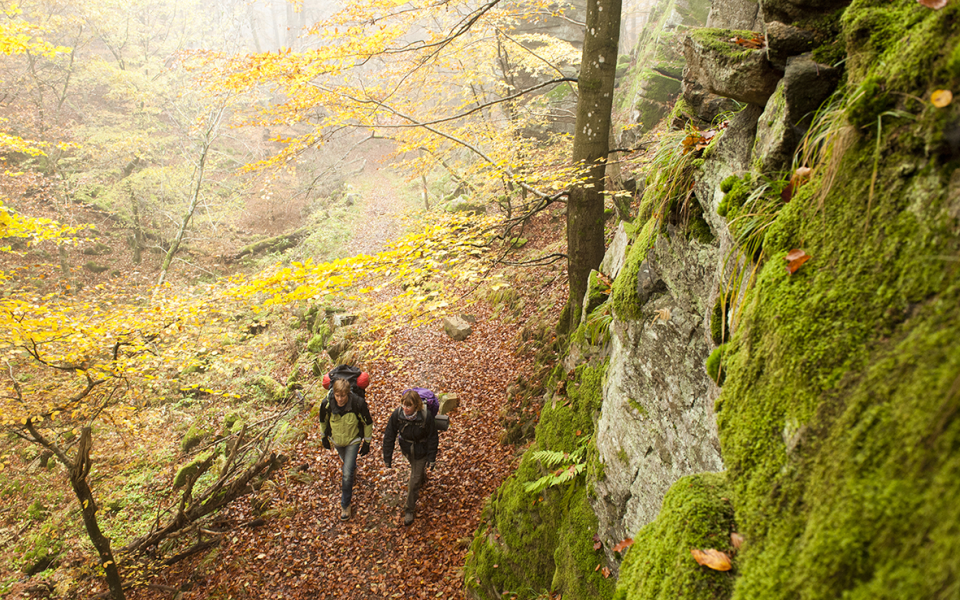 4 Klåveröd - Söderåsens nationalpark